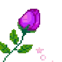 Grosepurple