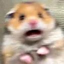 Scared