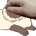 PatTheKaru