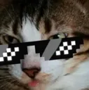 thugkitty3 Discord Emoji