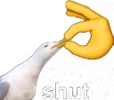 shut