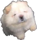 podado