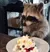 TPcake
