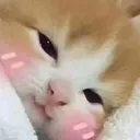 cute