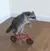 TPbike