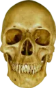 skulI