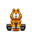 GarfKart