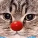 Clown Cat clown_cat Discord Emoji