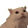a_