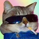 Catswag CatSwag Discord Emoji