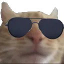 coolcat