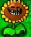 SunflowerTroll