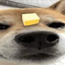 Butter_Dawg Butter_Dawg
