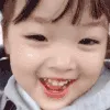 hi_sam