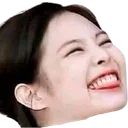 jenykek