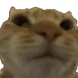 no