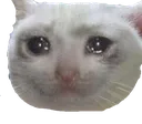sad