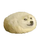 a_ciastpiesel