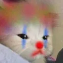 Clowncat clowncat Discord Emoji