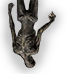 pointup Discord emoji