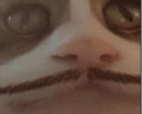 perhaps Discord emoji
