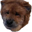 SadBowser