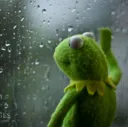 windowwaiting