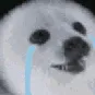 SaddeSeal SaddeSeal