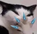 Awww