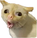 hk_agg Discord emoji