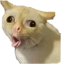 hk_agg
