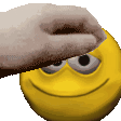 petpet Discord emoji