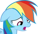 RainbowdashSad