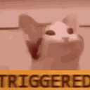 triggeredsam Discord Emoji