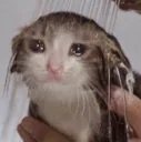 sadandwet sadandwet
