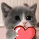catheart