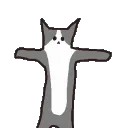SChypeAF SChypeAF