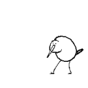 DancesKiwiJam