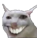 weirdcat