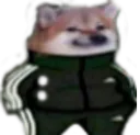 wex_sweg