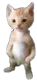 michael