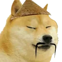 dogechingchang