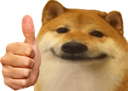 shibthumbsup Discord emoji