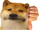 shibthumbsdown Discord emoji