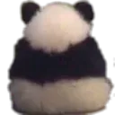 Angrypanda angrypanda Discord Emoji