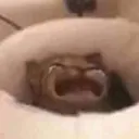 WAAAAAAA WAAAAAAA