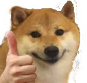 ightdoge