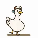 dancingduck dancingduck