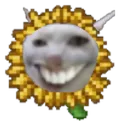 KreepyFlowerKat KreepyFlowerKat