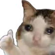 catSadThumb